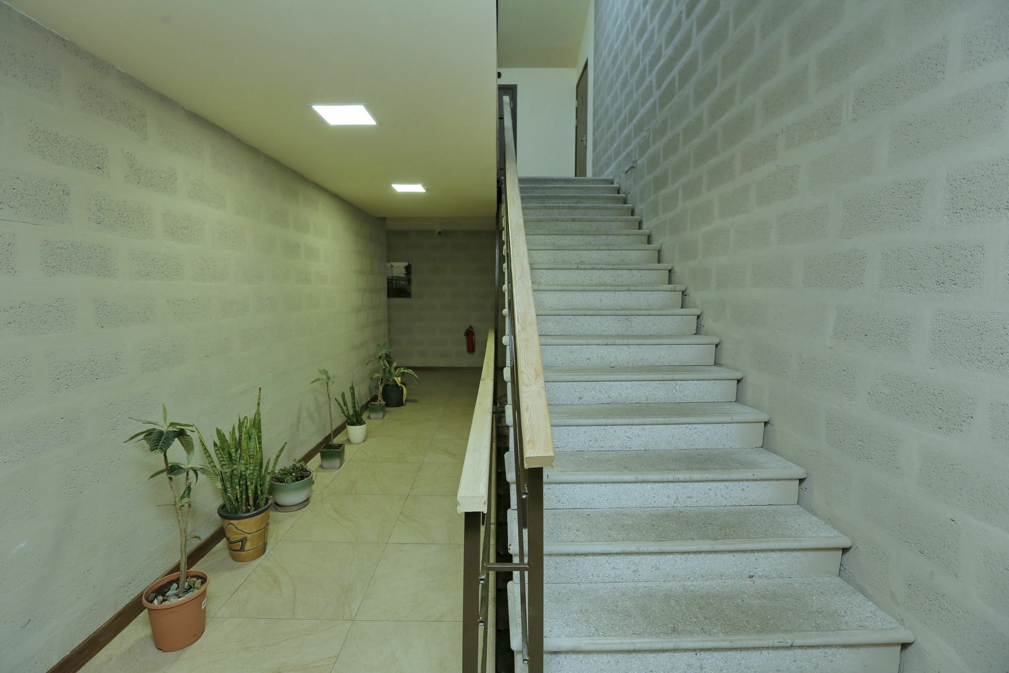 Grammy Apartments City Center Γιερεβάν Εξωτερικό φωτογραφία